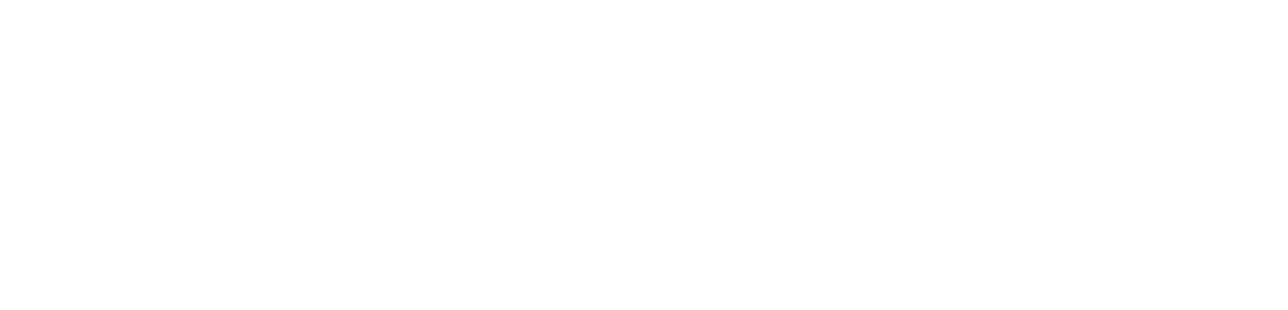 Arne V. Schleschs Fond